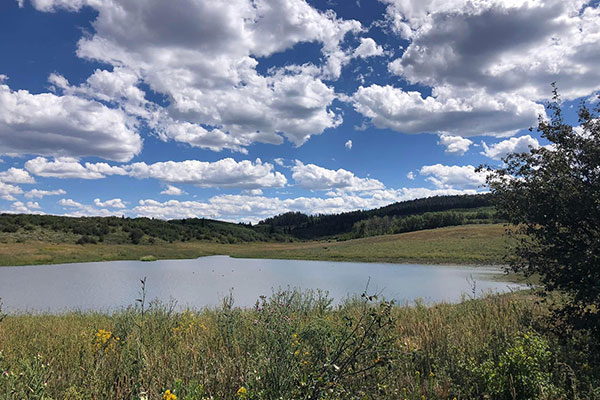 Four Mile Ranch is a 1441 acre ranch just 15 minutes to Glenwood Springs, Colorado.