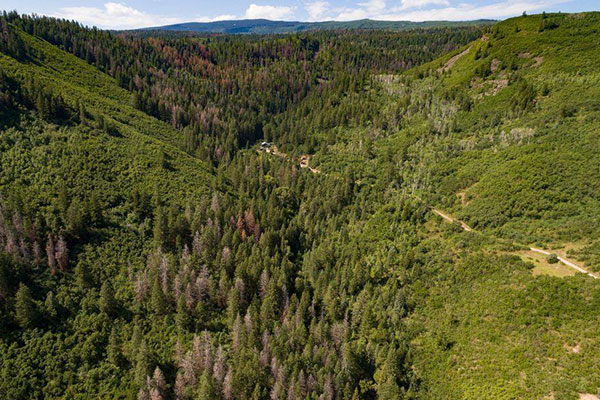 Four Mile Ranch is a 1441 acre ranch just 15 minutes to Glenwood Springs, Colorado.