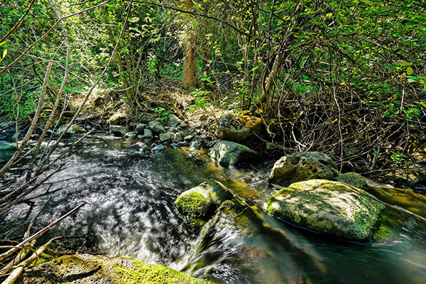 Four Mile Ranch is a 1441 acre ranch just 15 minutes to Glenwood Springs, Colorado.