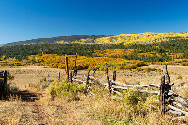 Four Mile Ranch is a 1441 acre ranch just 15 minutes to Glenwood Springs, Colorado.