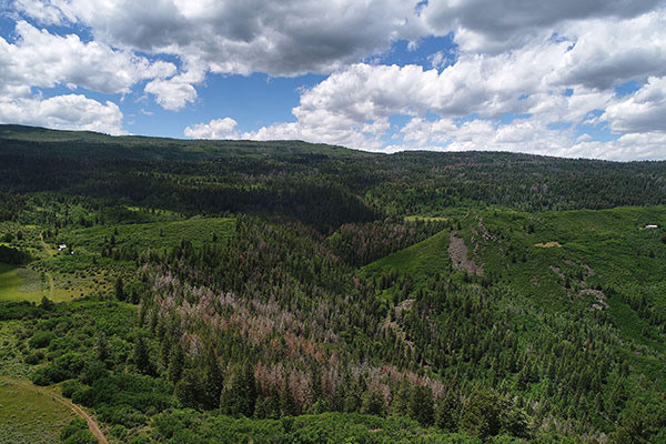 Four Mile Ranch is a 1441 acre ranch just 15 minutes to Glenwood Springs, Colorado.
